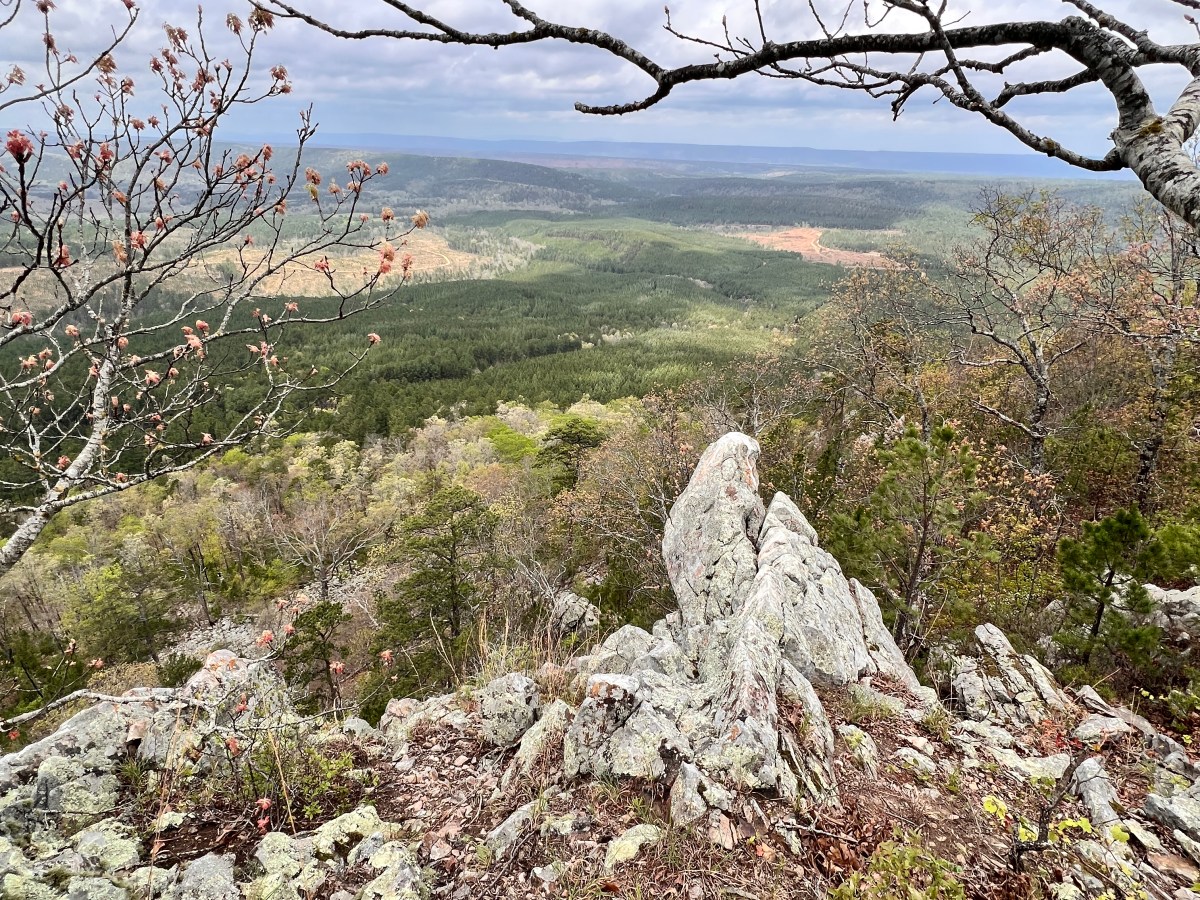 Exploring Forked Mountain: Not Just A Pretty&nbsp;Rock