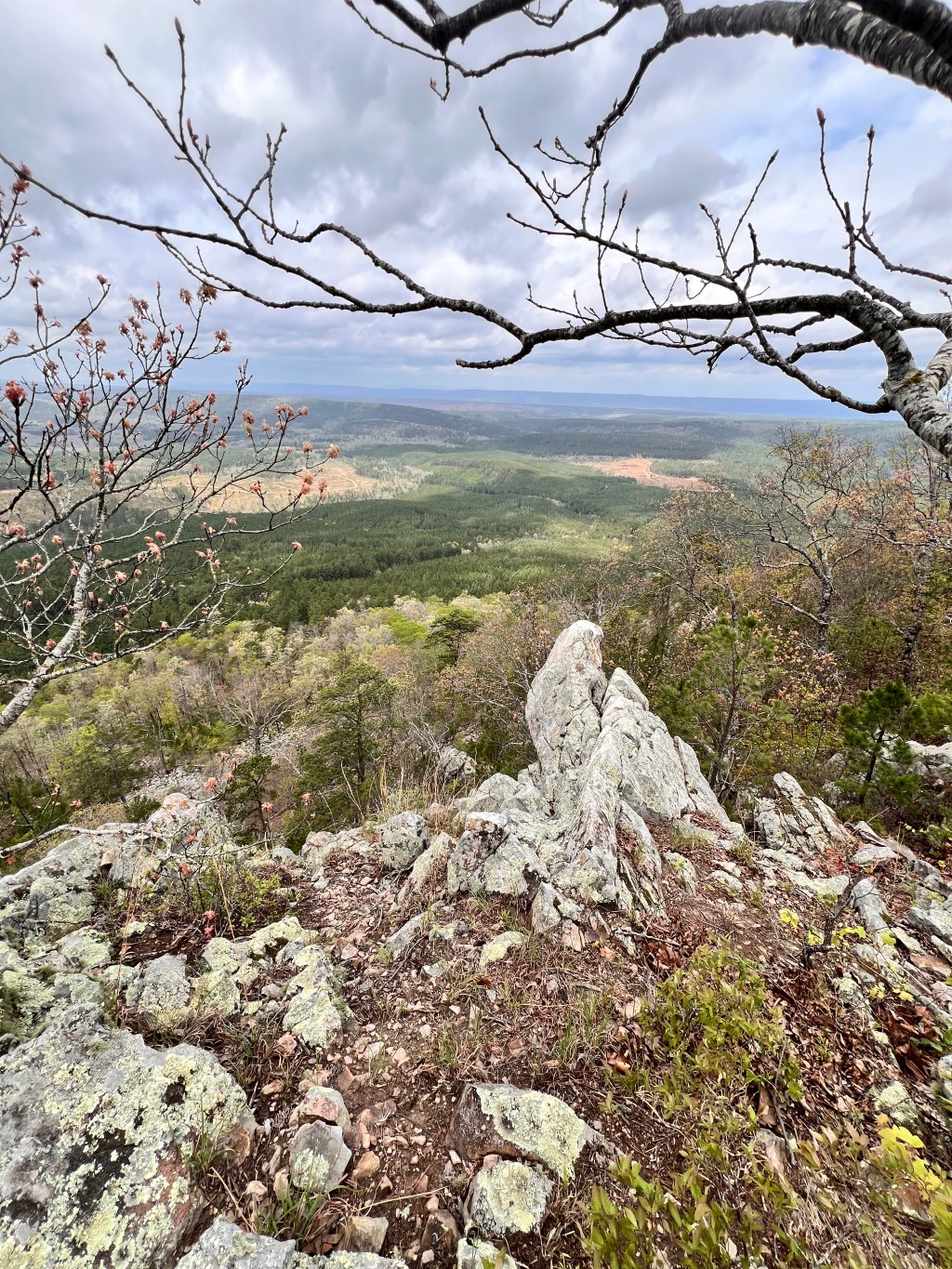 Exploring Forked Mountain: Not Just A Pretty Rock