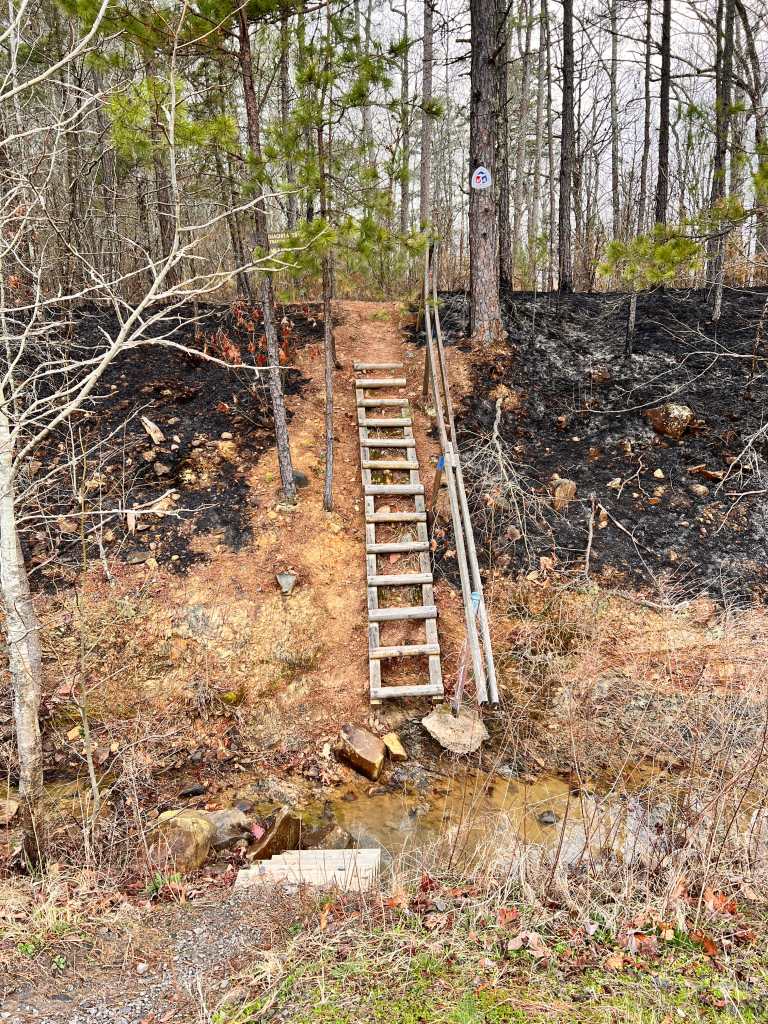A wooden ladder leads up a small incline in a wooded area, with burned ground on one side and a creek at the bottom.