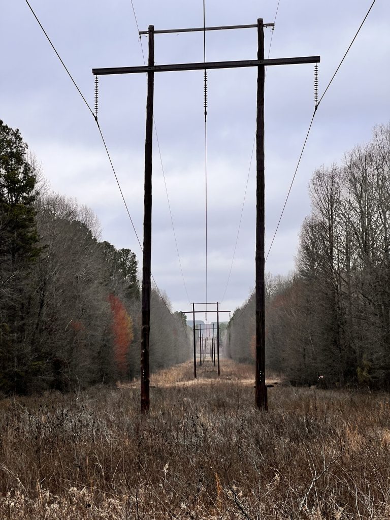 A view of tall wooden power lines stretching down a pathway surrounded by barren trees and overgrown grass under a cloudy sky.