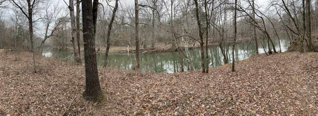 A panoramic view of a serene riverbank surrounded by bare trees and fallen leaves on the ground, reflecting a calm water surface.