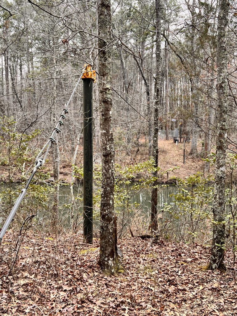 A utility pole with a yellow support bracket stands among trees near a tranquil pond, surrounded by fallen leaves and bare branches in a forested area.
