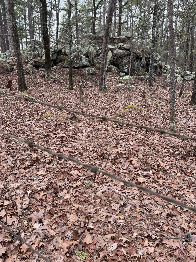 A wooded area with leaf-covered ground, featuring a rocky outcrop in the background, and barbed wire in the foreground.