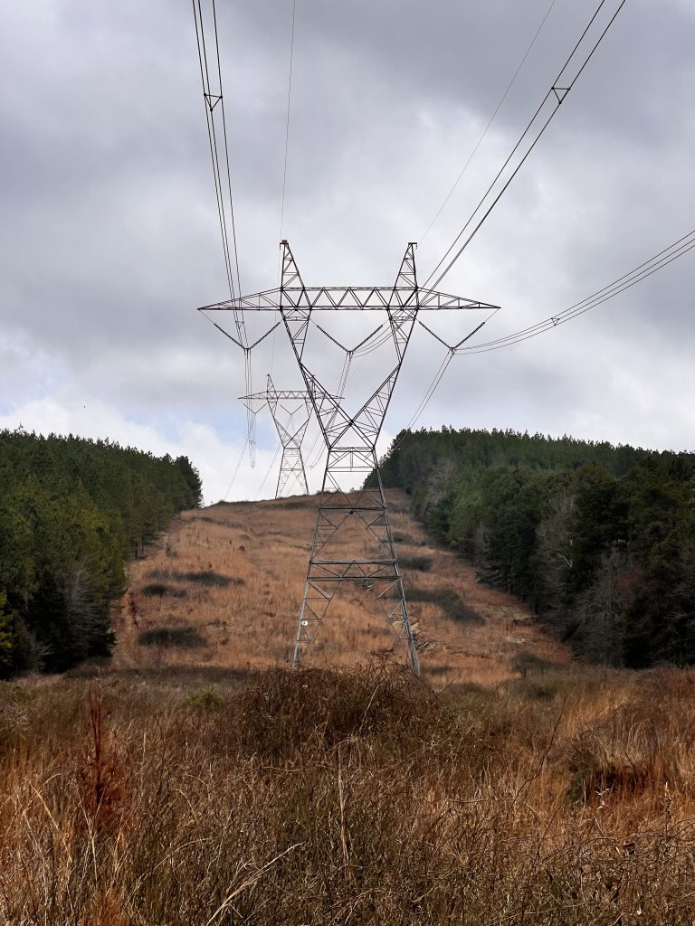 A power transmission tower stands on a hillside, with a background of tree lines and gray, cloudy skies.