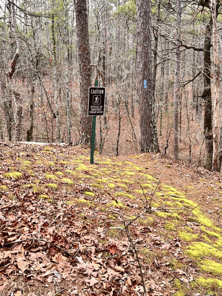 A caution sign warning of difficult or dangerous terrain ahead, located in a wooded area with pine trees and fallen leaves covering the ground.