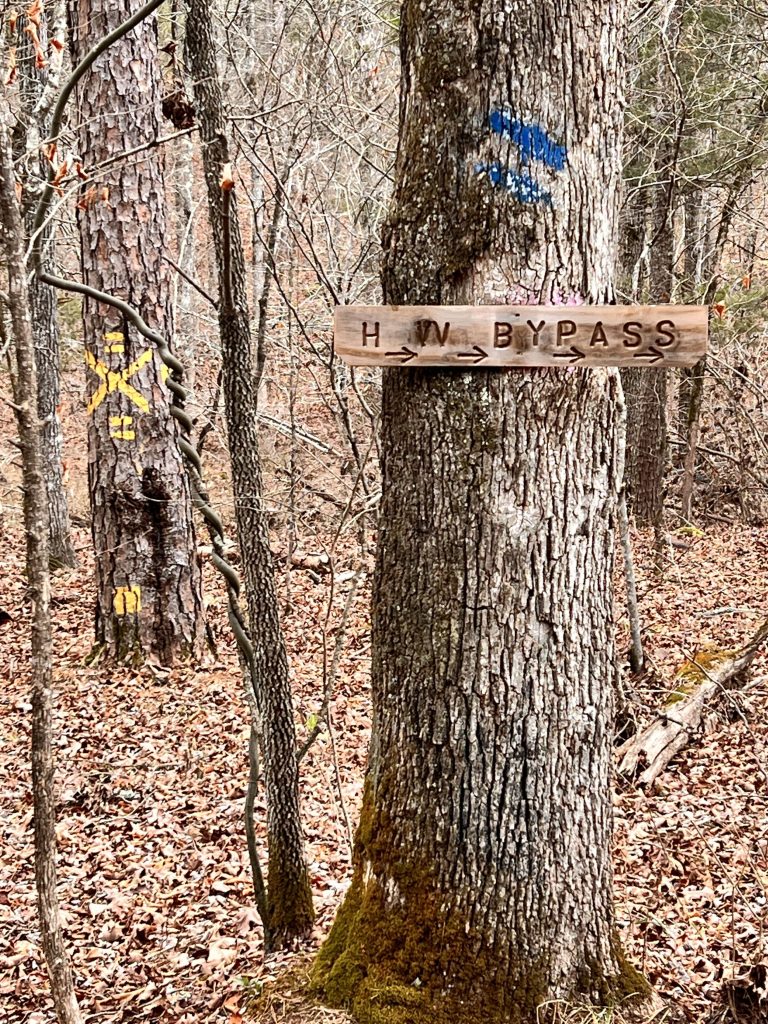 A wooden sign reading 'HW BYPASS' mounted on a tree in a wooded area, with bark textures and autumn leaves scattered on the ground.