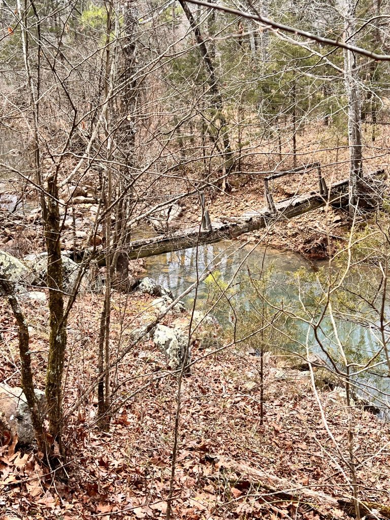 A serene woodland scene featuring a small, clear stream surrounded by bare trees and fallen leaves, with a makeshift log bridge crossing over the water.