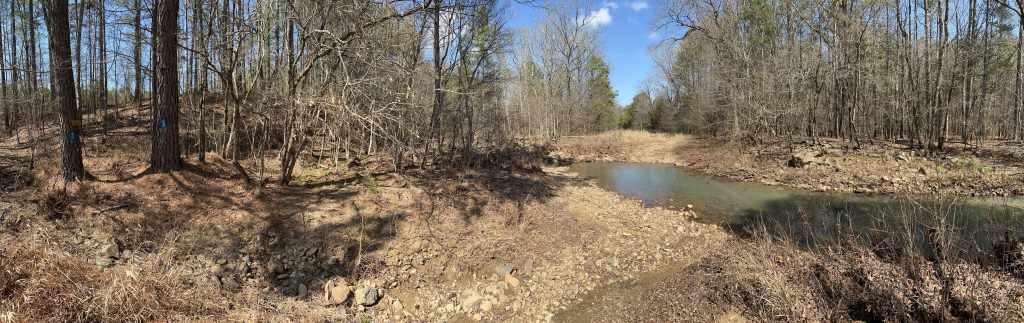 A panoramic view of a forested area with bare trees and a small stream running through a rocky bank, under a clear blue sky.