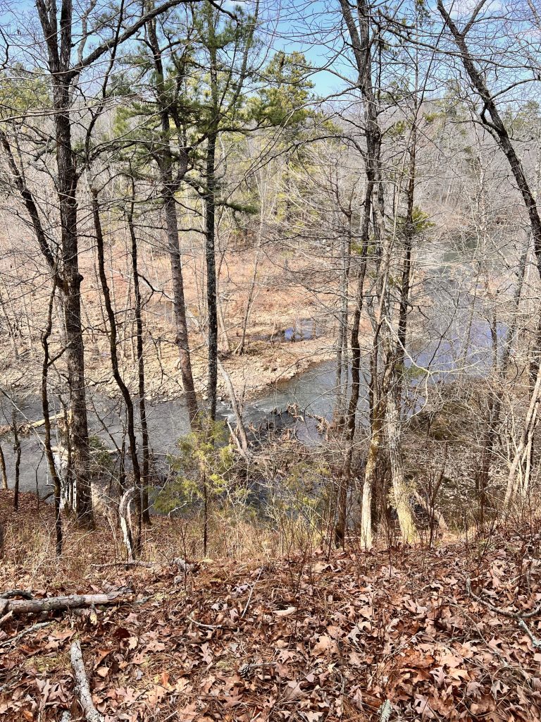 A view of a river winding through bare trees in a wooded area, with fallen leaves covering the ground.