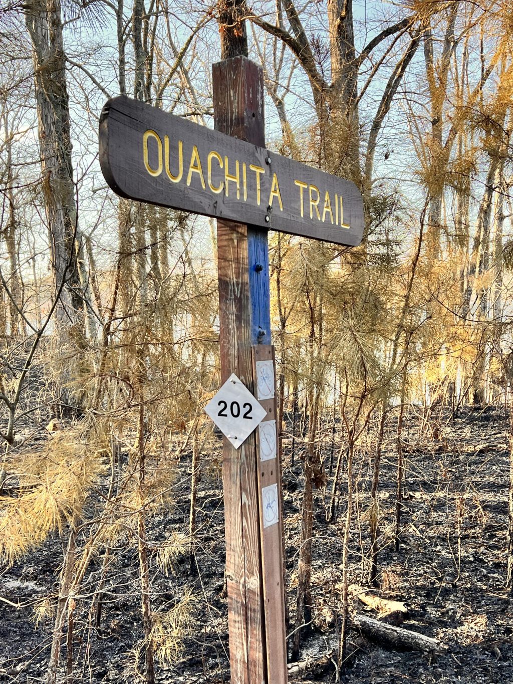 A Controlled Burn: Miles 195 to 202 on The Ouachita Trail