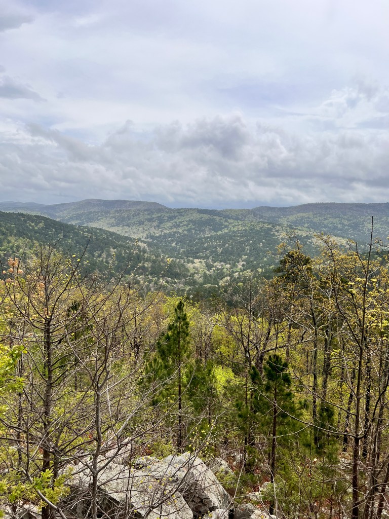 View of the Ouachita National Forest from Forked Mountain